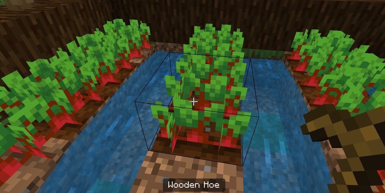 Seed Planting in Minecraft